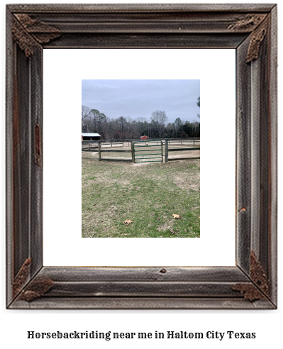 horseback riding near me in Haltom City, Texas